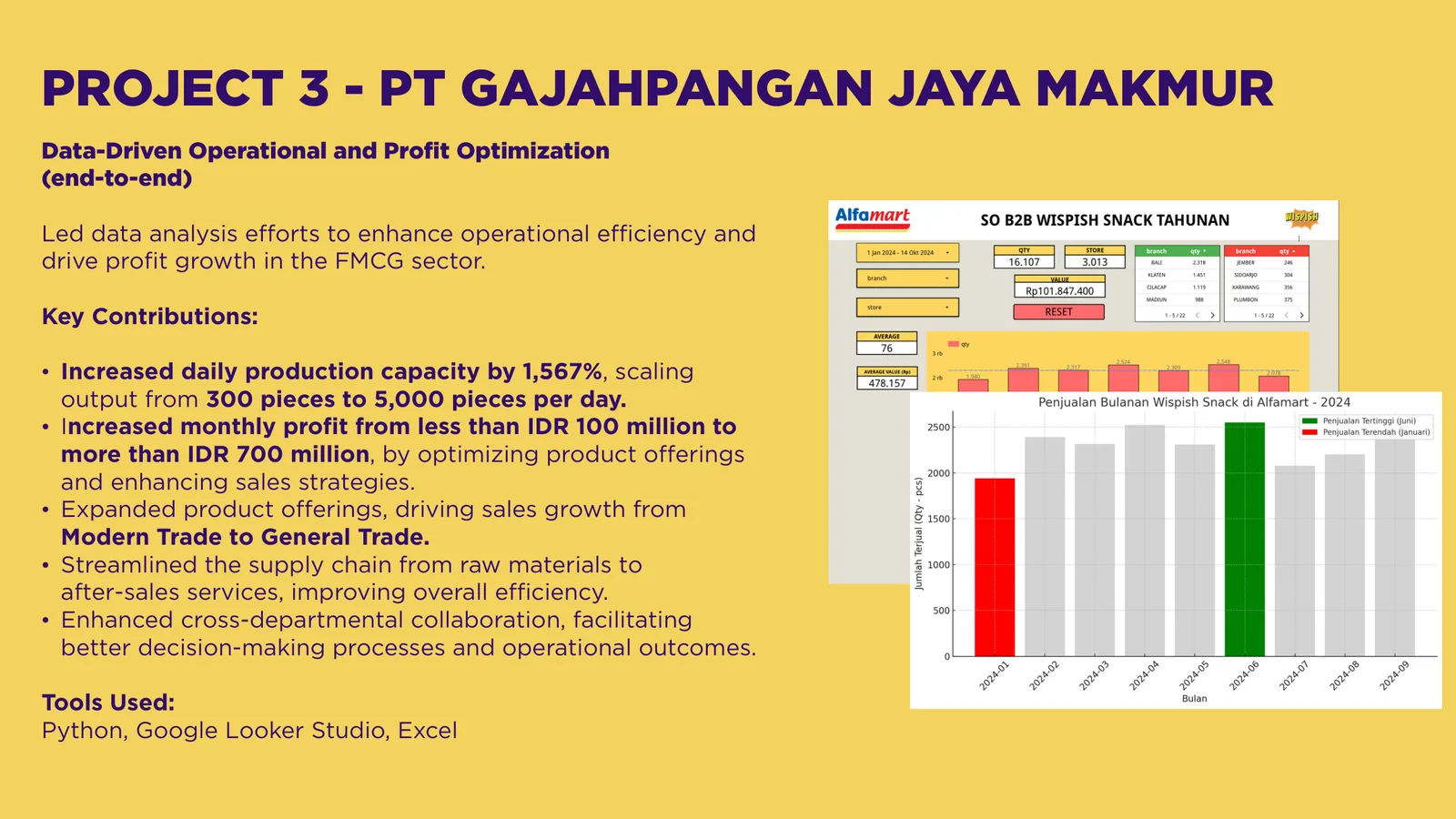 FMCG project overview and key contributions